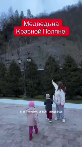 ������� � �������� �� ������� ������
