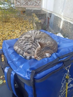 ������ ����, ������!. ��������� +12 ��