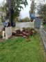 ������ ���������: � ������������� ���������� ����������� ����� ����������� ����������� � ����� � ���������