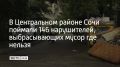 � ����������� ������ ���� ������� 146 �������, ������� �������� ������������������� ������