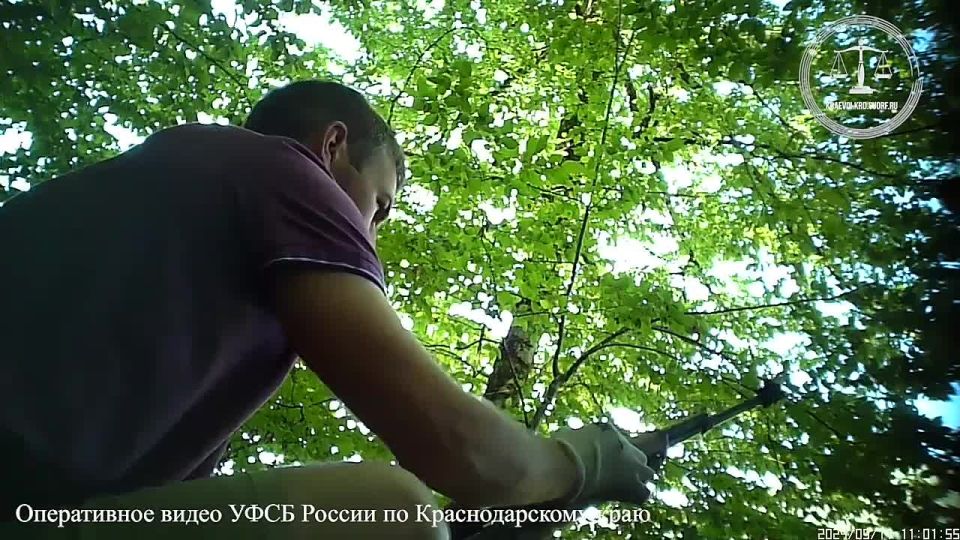 Продавал автомат Калашникова умершего друга и получил срок