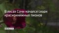� ����� ���� ������� ����� ������������� ������