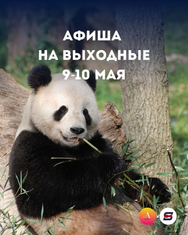 Куда сходить на выходных 9-10 мая?