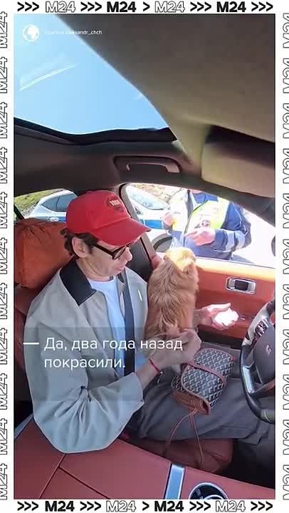 Как говорится, ГИБДДэшники тоже люди