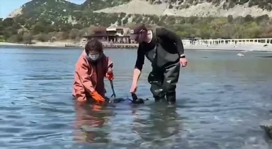 � ������������� ��������� ������� ���������� ����������