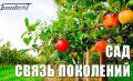 «Сад - Связь поколений». Под таким названием Фондом содействия реализации социальных проектов «БЛАГОВЕСТ» 19 мая 2026 г. реализуется ежегодная Всероссийская акция, в рамках Всероссийского духовно-патриотического...