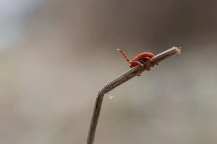 �� ������ ����� ��� �������� ������ 700 �������