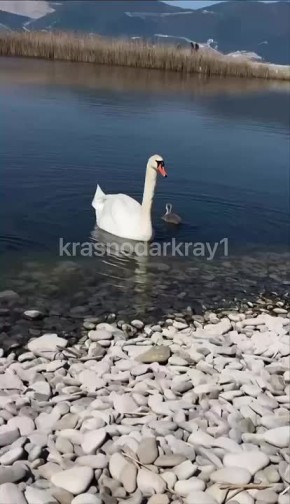 ����������� ����. ����������� ���������� ���� � �� ��������� �������� ������� ��������� �������� �����