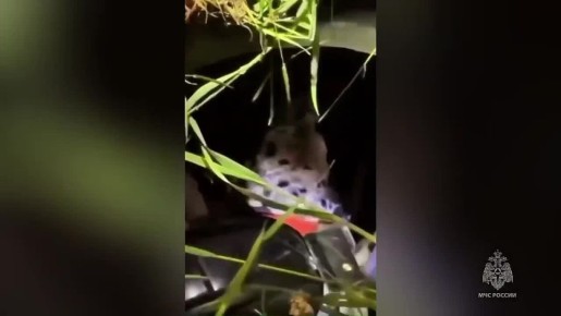 ���������� ����� �������� ���������� ���� �� �������� ���