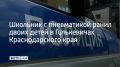 В Гулькевичах ученик девятого класса пронес пневматическое оружие в общеобразовательную школу №1 и совершил несколько выстрелов