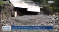 Куда исчезла мимоза с Приморской набережной в Сочи?