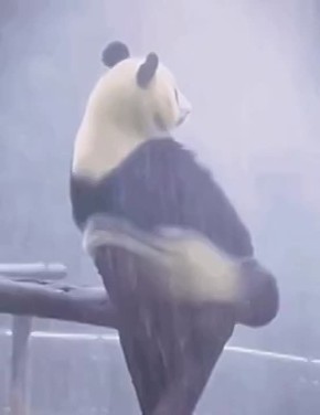 ���������� ������?. ������� �������� �� ���������