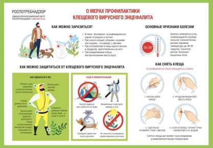 ����������: ������������ ��������� ��������� ����������