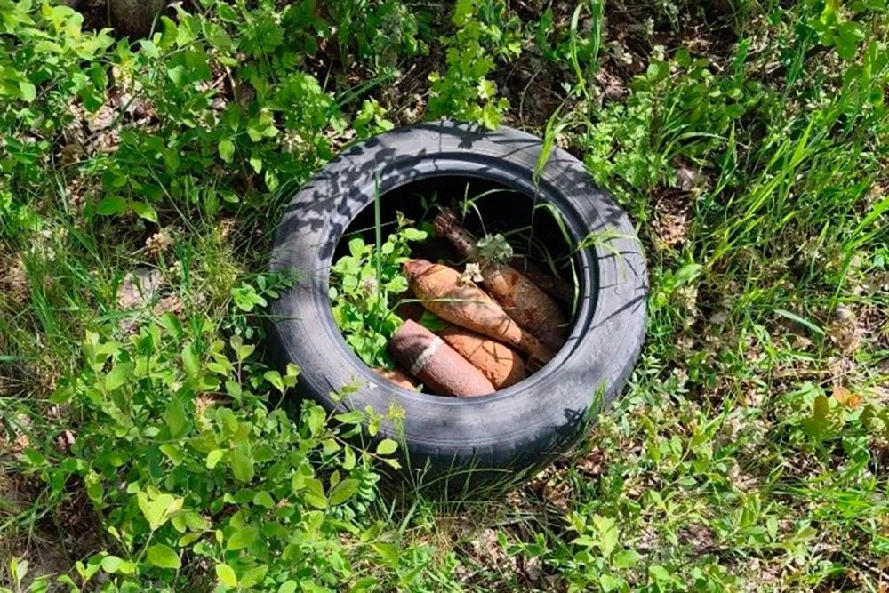 В Крымском районе взрывотехники Росгвардии уничтожили 17 мин В Крымском районе взрывотехники Росгвардии уничтожили 17 мин