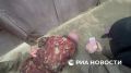 Двоих мужчин, шпионивших для Украины, задержали в Крыму