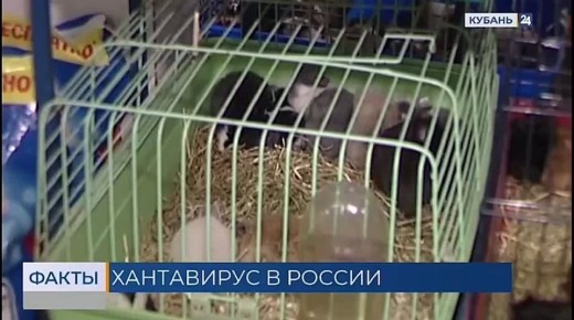 ����������: ������ �� ����� ��������?