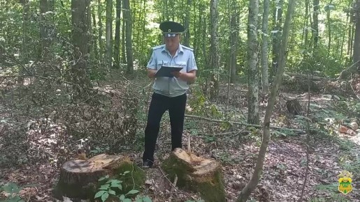 На Кубани подведены итоги ОПМ "Лес"