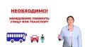������� ���������: ���� ������ ������ - ��� ������ ��������� ����
