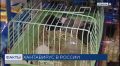 Хантавирус: грядет ли новая пандемия?