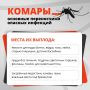 В Краснодаре начался сезон активности кровососущих насекомых, которые могут быть переносчиками опасных инфекций