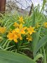 � ������ �� 16 ��� . � ������������� ���� ������� � ������������