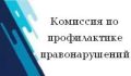 На очередном заседании городской территориальной комиссии по профилактике правонарушений