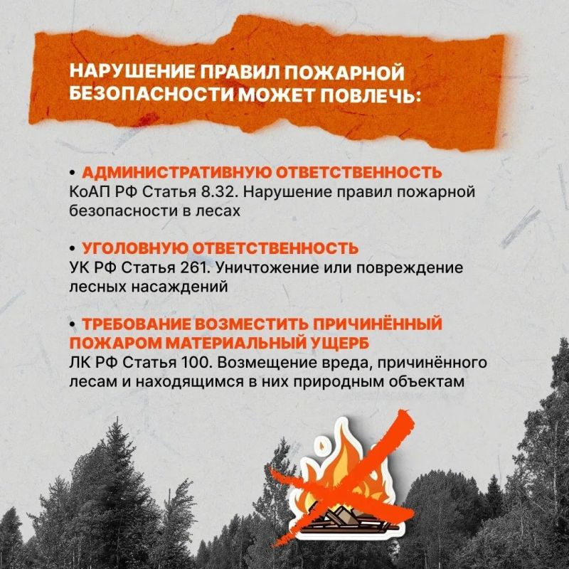 Одна непотушенная сигарета, костёр или пал сухой травы способны уничтожить гектары леса, хозяйственные постройки, технику, линии электропередачи и даже жилые дома Одна непотушенная сигарета, костёр или пал сухой травы способны уничтожить гектары леса, хозяйственные постройки, технику, линии электропередачи и даже жилые дома
