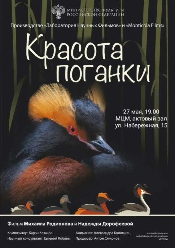 В Новороссийске состоится показ уникального документального фильма «Красота поганки»