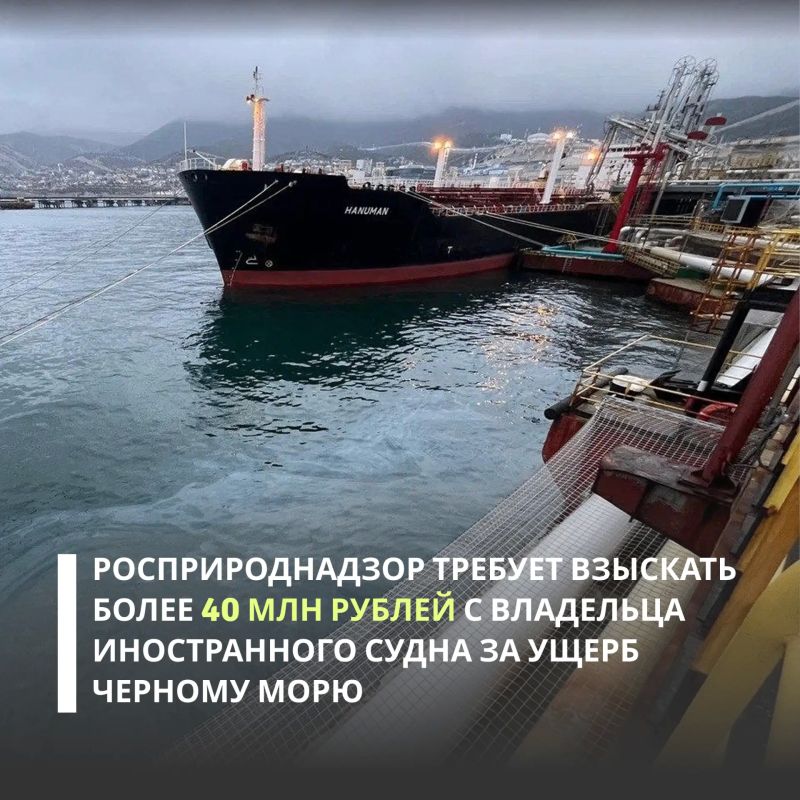 Черноморо-Азовское морское управление Росприроднадзора обратилось в Арбитражный суд Краснодарского края с иском о взыскании более 40 млн рублей с владельца судна «Hanuman» (ходит под флагом Республики Сьерра-Леоне) за вред...