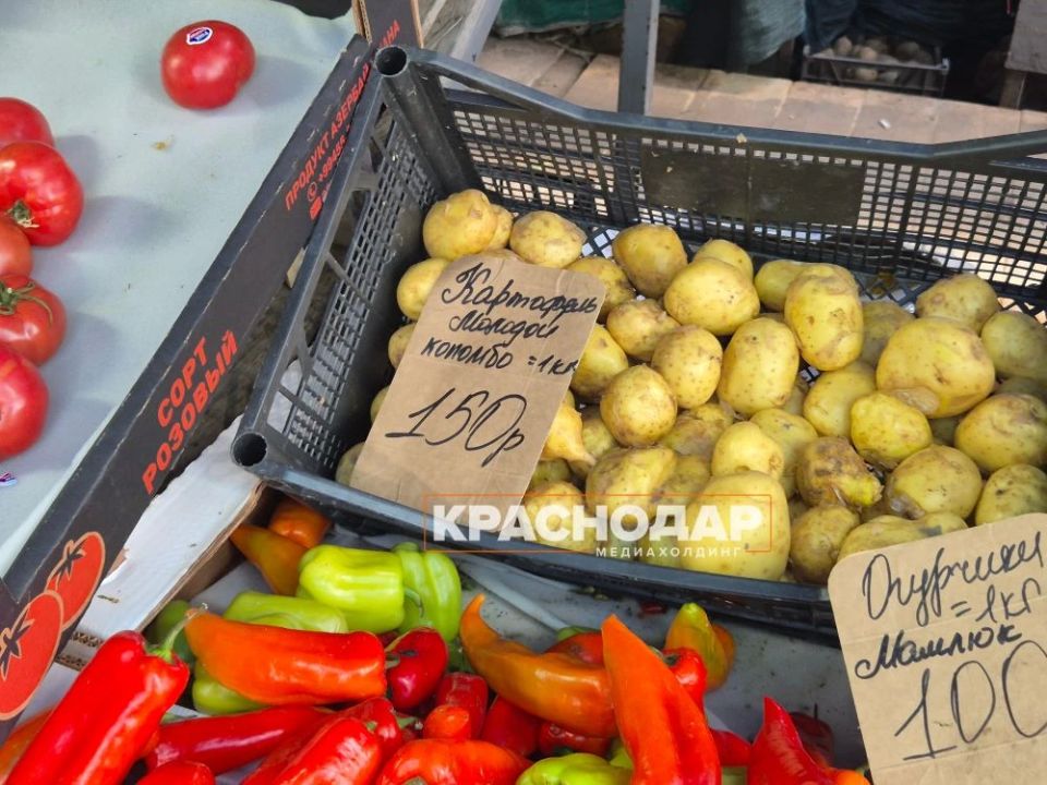 Настал сезон молодого картофеля Настал сезон молодого картофеля