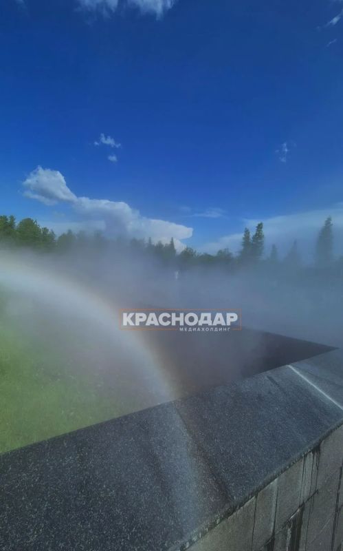 Дожди, жара и аллергия: каким будет лето в Краснодаре? Дожди, жара и аллергия: каким будет лето в Краснодаре?