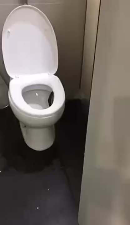 Хорошая попытка, но нет. В соцсетях появилось видео, на котором девушка якобы обнаружила змею в унитазе туалета аэропорта Сочи