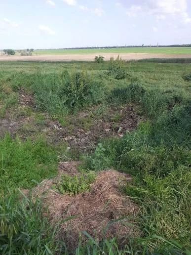 По инициативе прокуратуры Крыловского района ликвидированы места несанкционированного размещения отходов производства и потребления По инициативе прокуратуры Крыловского района ликвидированы места несанкционированного размещения отходов производства и потребления