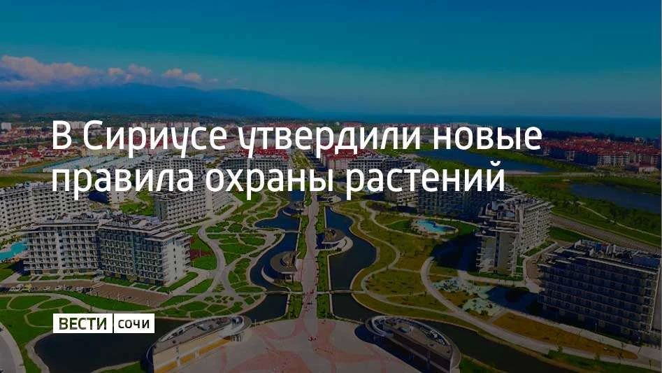 Совет федеральной территории утвердил документ, который регулирует обращение с деревьями, кустарниками и другой растительностью
