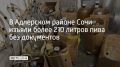 Сотрудники отдела по исполнению административного законодательства УВД по Сочи проверили торговые точки и кафе, торгующие алкоголем
