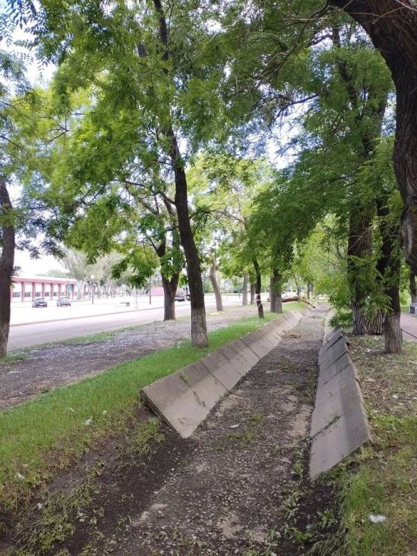 В Ейске продолжаются работы по устранению последствий сильного ветра – убираются сломанные деревья и ветки В Ейске продолжаются работы по устранению последствий сильного ветра – убираются сломанные деревья и ветки