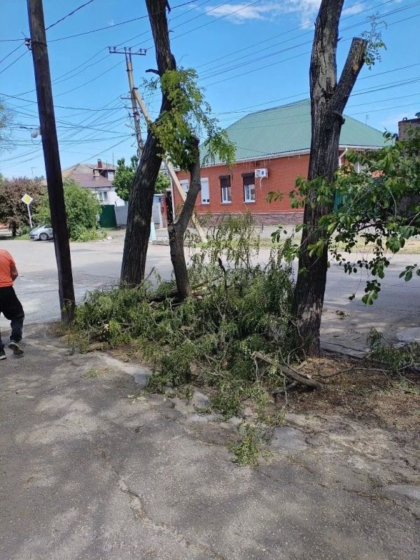 В Ейске продолжаются работы по устранению последствий сильного ветра – убираются сломанные деревья и ветки В Ейске продолжаются работы по устранению последствий сильного ветра – убираются сломанные деревья и ветки