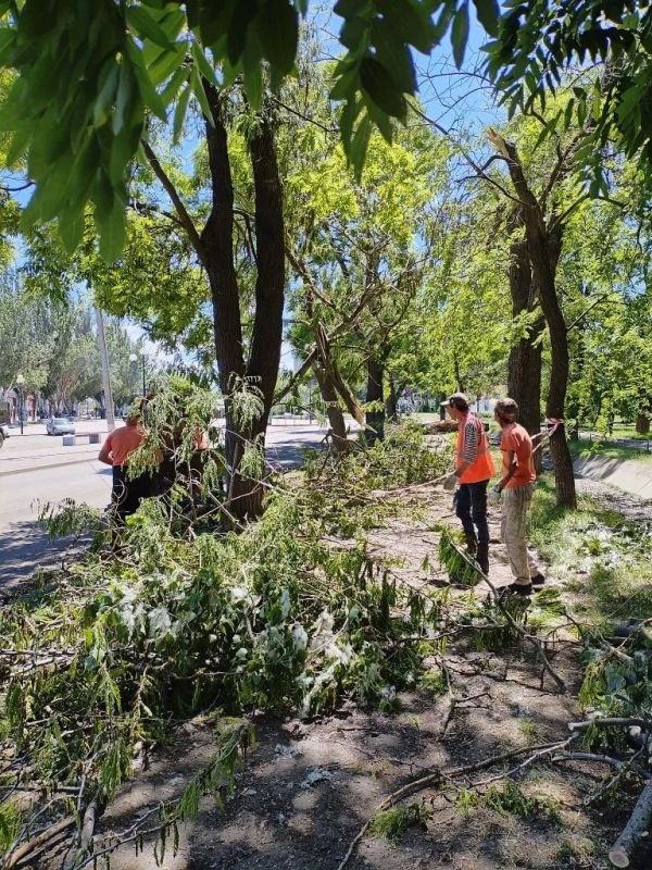 В Ейске продолжаются работы по устранению последствий сильного ветра – убираются сломанные деревья и ветки В Ейске продолжаются работы по устранению последствий сильного ветра – убираются сломанные деревья и ветки