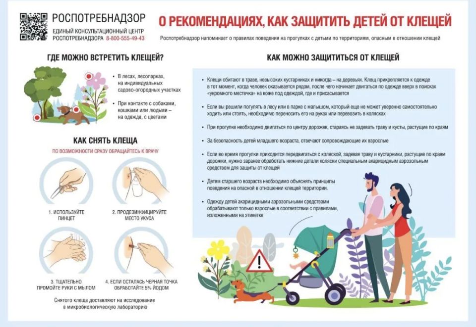 Санпросвет: Профилактика вирусного клещевого энцефалита Санпросвет: Профилактика вирусного клещевого энцефалита