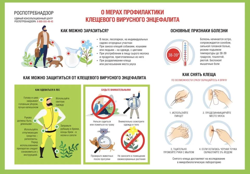 Санпросвет: Профилактика вирусного клещевого энцефалита