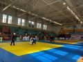 АРМАВИРЦЫ СТАЛИ ПОБЕДИТЕЛЯМИ И ПРИЗЕРАМИ ЧЕМПИОНАТА ЮФО ПО ДЗЮДО