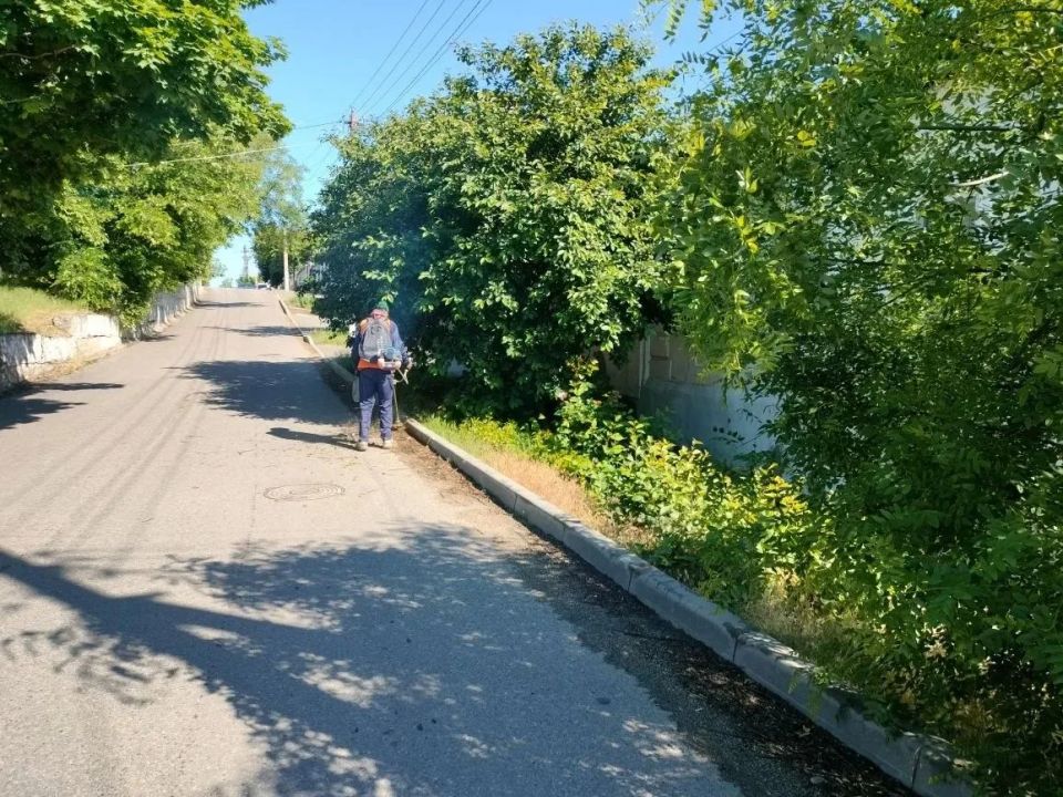 После обильных дождей одна из главных забот ейских коммунальщиков – покос травы и её уборка с городских территорий после проведения работ После обильных дождей одна из главных забот ейских коммунальщиков – покос травы и её уборка с городских территорий после проведения работ