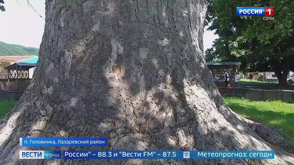 Вести Сочи 02.06.2026 09:30