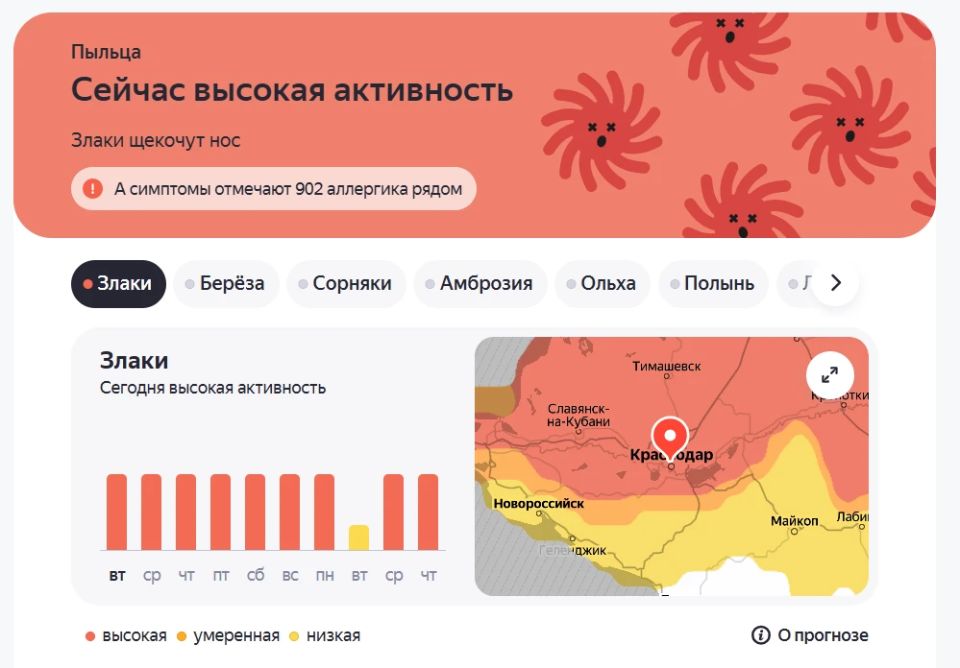 Аллергики, берегитесь! В Краснодаре активизировалась пыльца