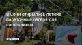 �� �������� "�����-���" � "��������" ���������� ������ ����� ������ ���������� �������