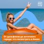 ����� ��� ������! �� ������� � 1 ���� ������� �������� �����: