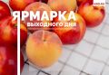 6 ���� � ���������� ���������� ������ ������ ������� ��������� ���