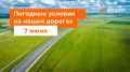 М-1 «Беларусь». – В течение суток местами дождь в Смоленской области