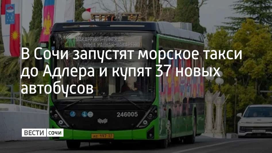 В 2026 году году для муниципальных маршрутов закупят 37 новых автобусов, а уже летом между Сочи и Адлером будет курсировать морское такси "Комета", рассказал мэр курорта Андрей Прошунин