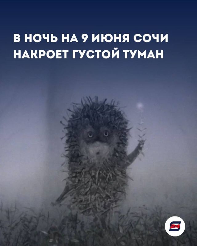 Синоптики объявили в Сочи и на федеральной территории Сириус предупреждение из-за сильного тумана